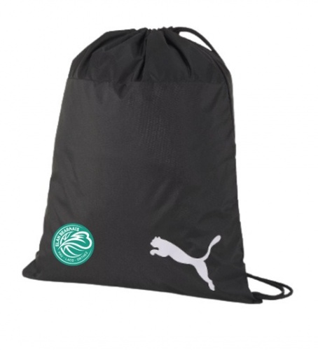 gym_sac